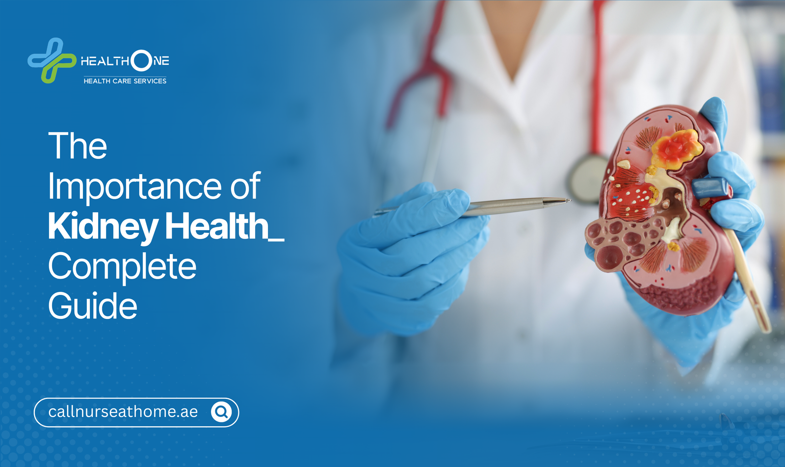 The Importance of Kidney Health_ Complete Guide